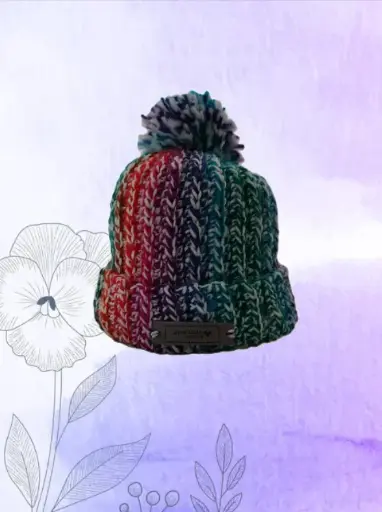 Bonnet Multicolore